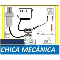 Como probar un sensor de oxígeno de 2 cables y 4 cables.