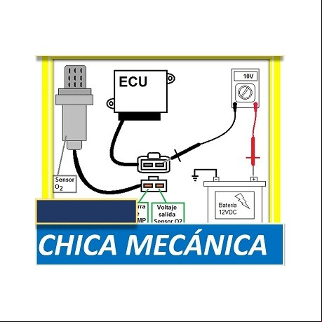 Diagrama regulador de ford