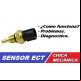 SENSOR DE TEMPERATURA DEL REFRIGERANTE DEL MOTOR (ECT)