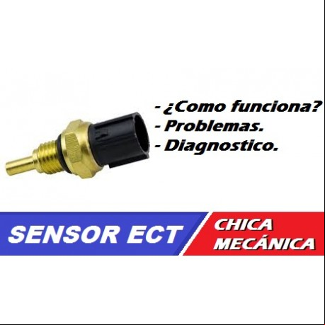 blog, medidor continuidad sonoro