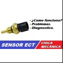 SENSOR DE TEMPERATURA DEL REFRIGERANTE DEL MOTOR (ECT)